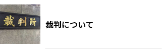 裁判について