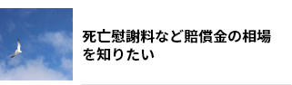 死亡慰謝料など賠償金の相場を知りたい