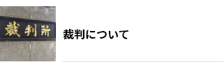 裁判について