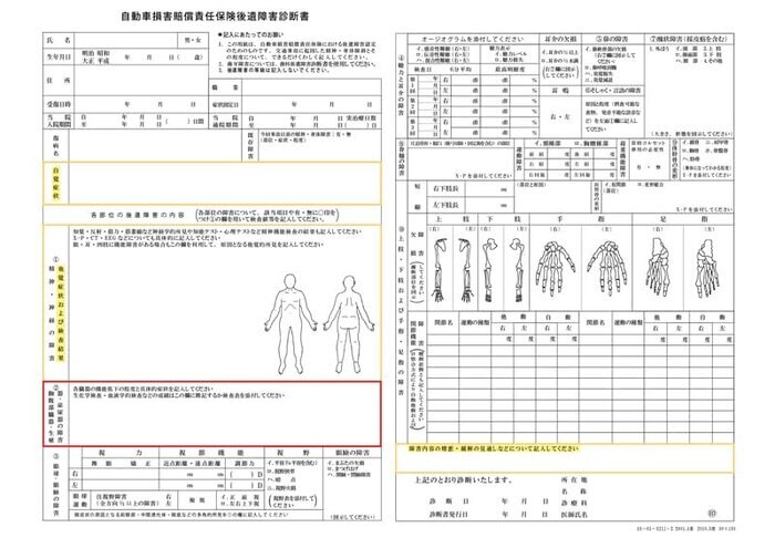 後遺障害診断書の②欄「胸腹部臓器・生殖器・泌尿器の障害」